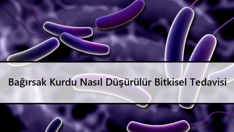 Bağırsak Kurdu Nasıl Düşürülür Bitkisel Tedavisi