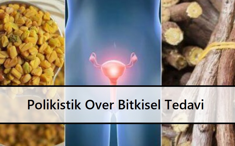 Polikistik Over Bitkisel Tedavi