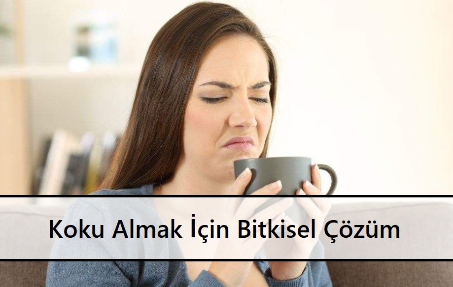 Koku Almak İçin Bitkisel Çözüm