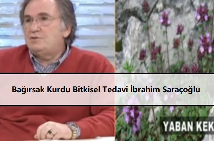 Bağırsak Kurdu Bitkisel Tedavi İbrahim Saraçoğlu