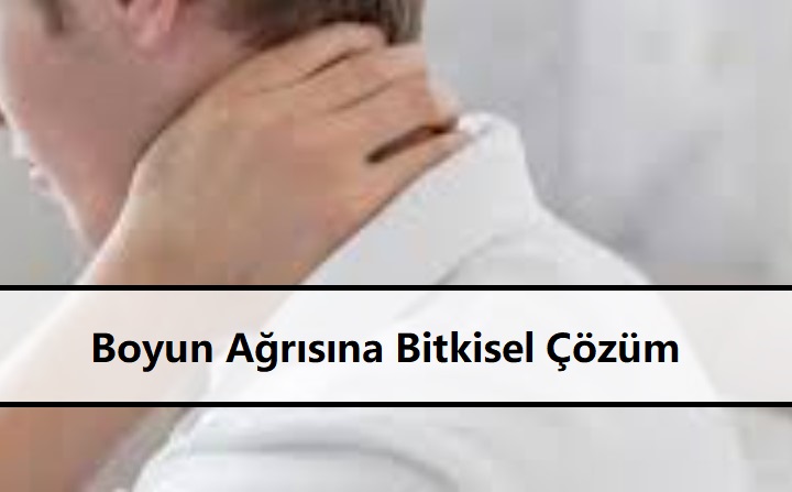 Boyun Ağrısına Bitkisel Çözüm