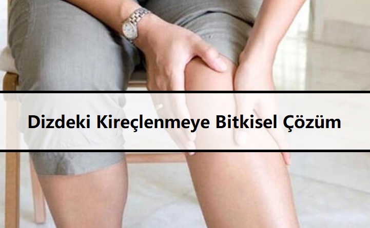 Dizdeki Kireçlenmeye Bitkisel Çözüm