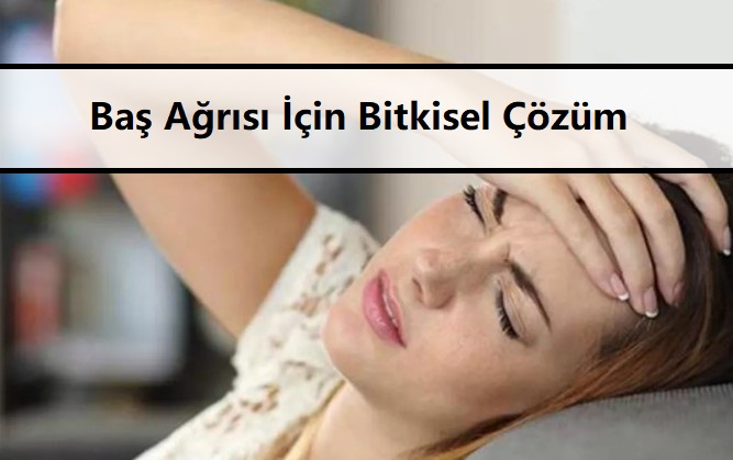 Baş Ağrısı İçin Bitkisel Çözüm