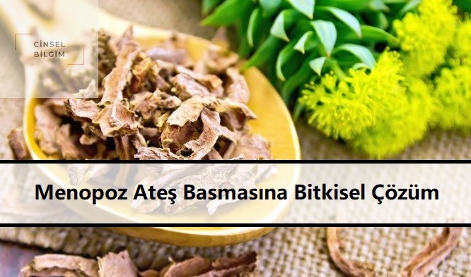 Menopoz Ateş Basmasına Bitkisel Çözüm