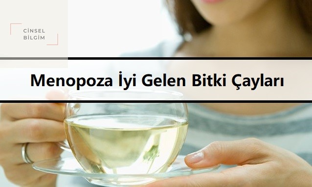 Menopoza İyi Gelen Bitki Çayları