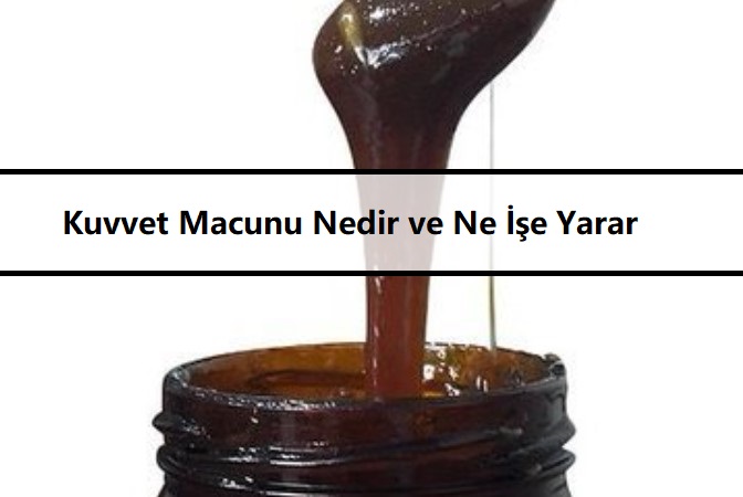 Kuvvet Macunu Nedir ve Ne İşe Yarar