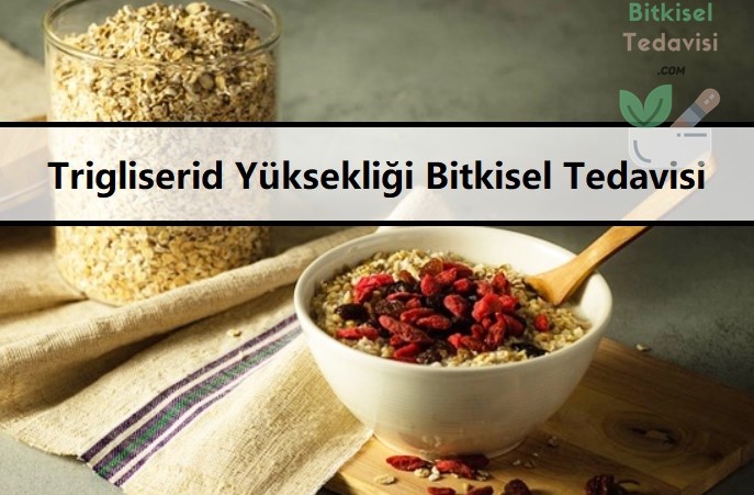 Trigliserid Yüksekliği Bitkisel Tedavisi