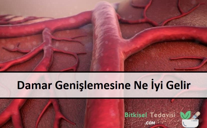 Damar Genişlemesine Ne İyi Gelir