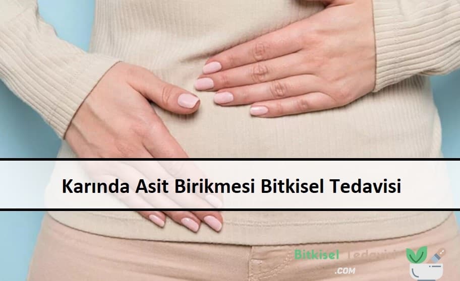 Karında Asit Birikmesi Bitkisel Tedavisi