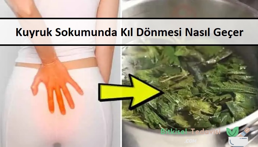 Kuyruk Sokumunda Kıl Dönmesi Nasıl Geçer