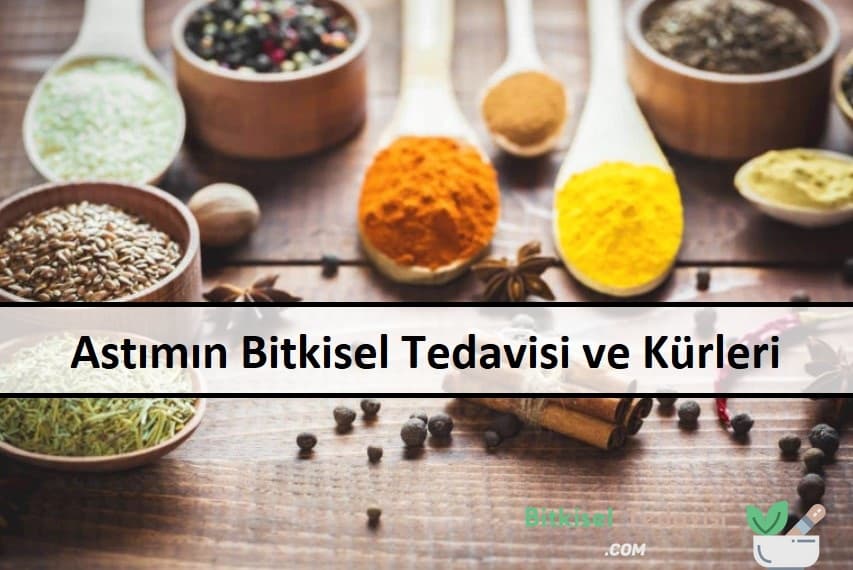 Astımın Bitkisel Tedavisi ve Kürleri 