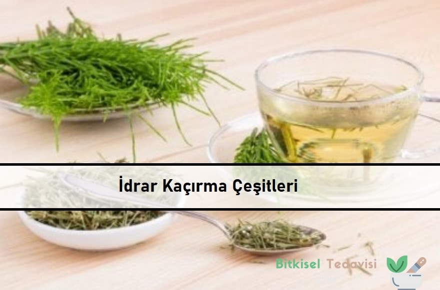 İdrar Kaçırma Çeşitleri