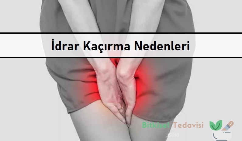 İdrar Kaçırma Nedenleri