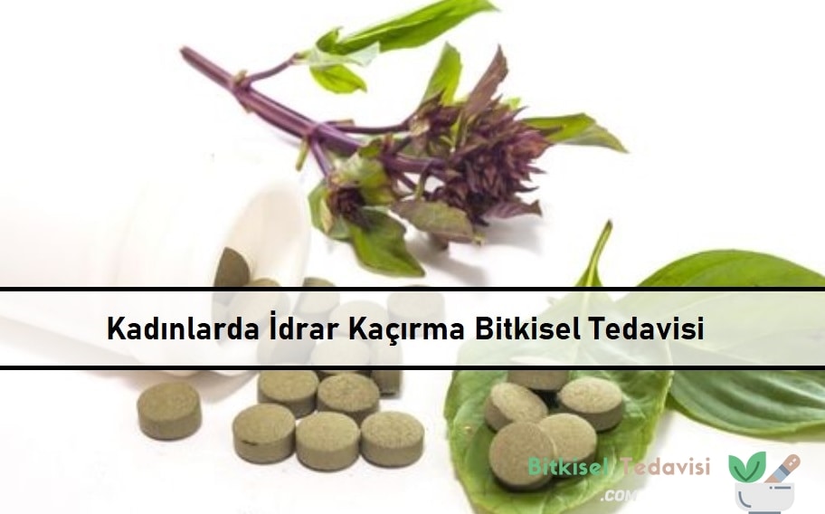 Kadınlarda İdrar Kaçırma Bitkisel Tedavisi