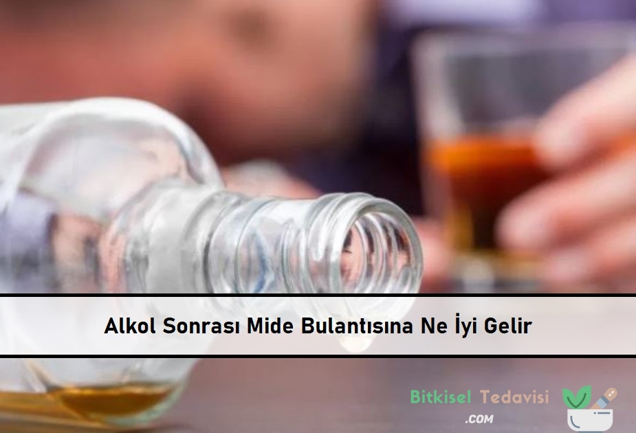 Alkol Sonrası Mide Bulantısına Ne İyi Gelir