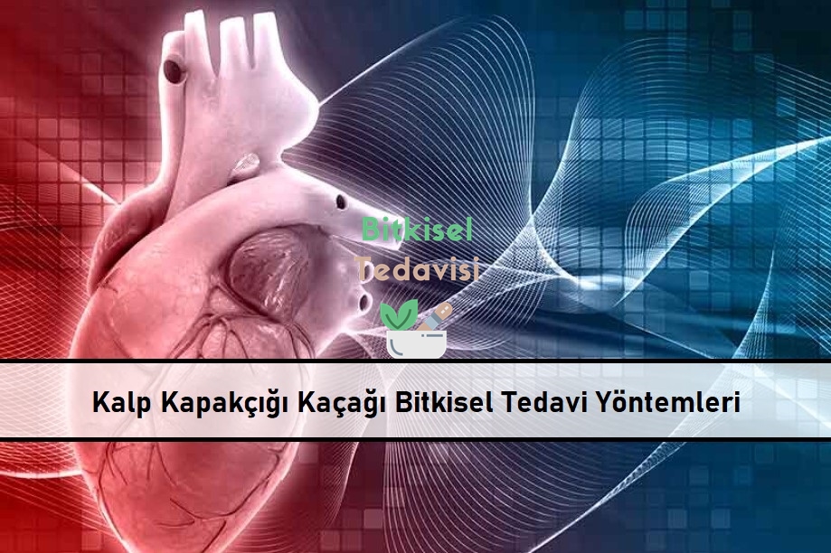 Kalp Kapakçığı Kaçağı Bitkisel Tedavi Yöntemleri