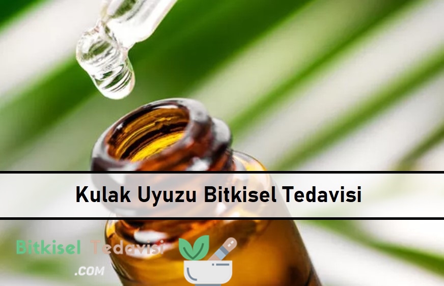 Kulak Uyuzu Bitkisel Tedavisi