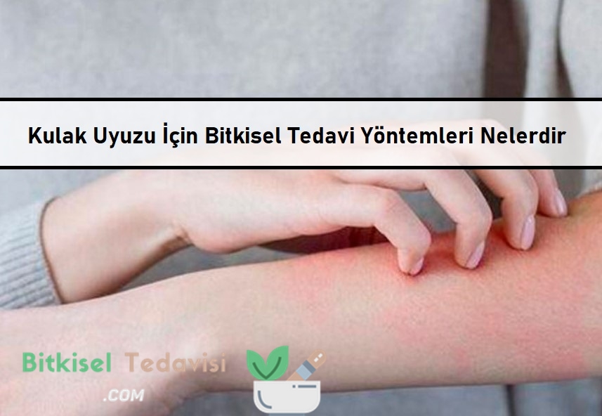 Kulak Uyuzu İçin Bitkisel Tedavi Yöntemleri Nelerdir