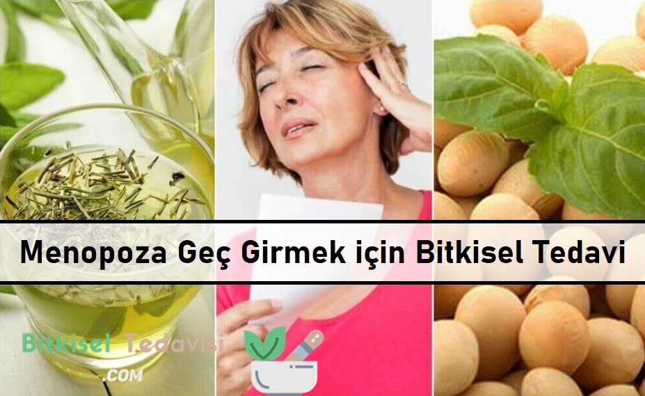 Menopoza Geç Girmek için Bitkisel Tedavi