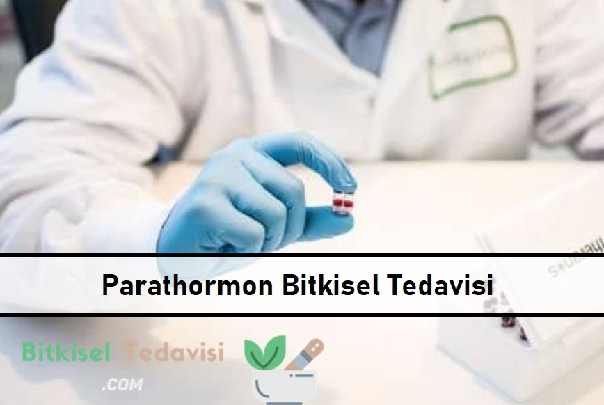 Parathormon Bitkisel Tedavisi