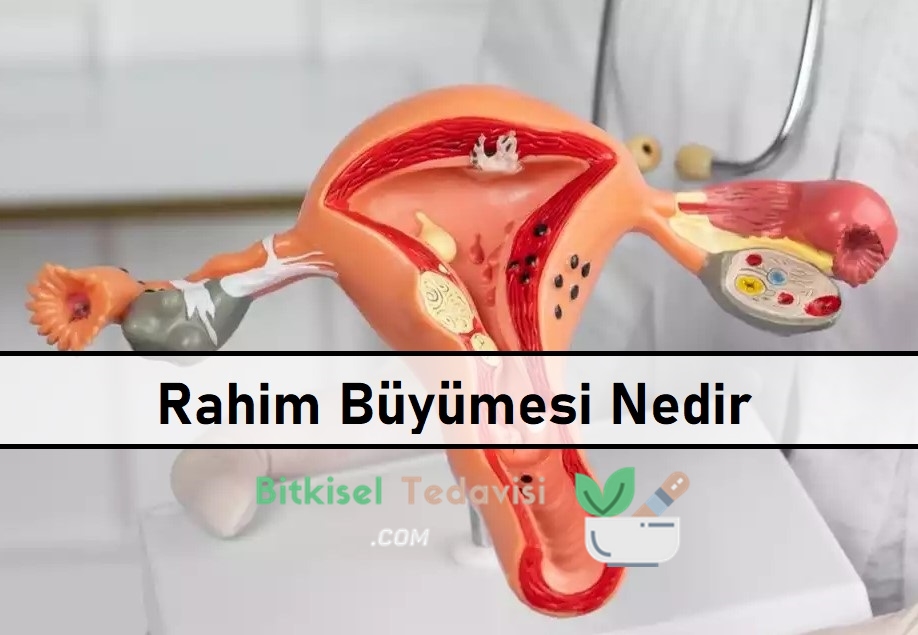 Rahim Büyümesi Nedir