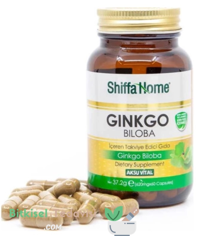 Ginkgo biloba depresyon destekleyici